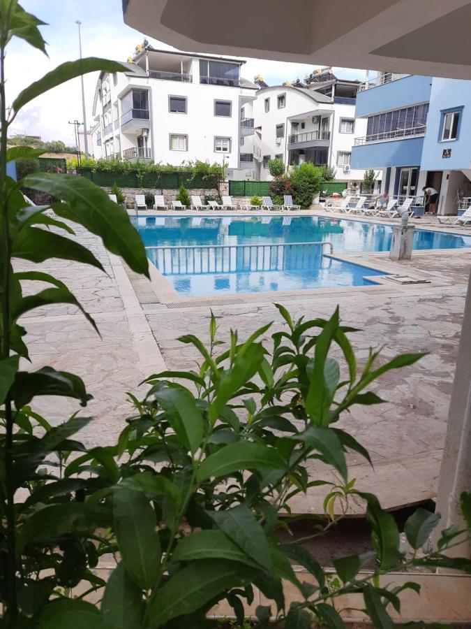 Apart Daire Didim Exteriör bild